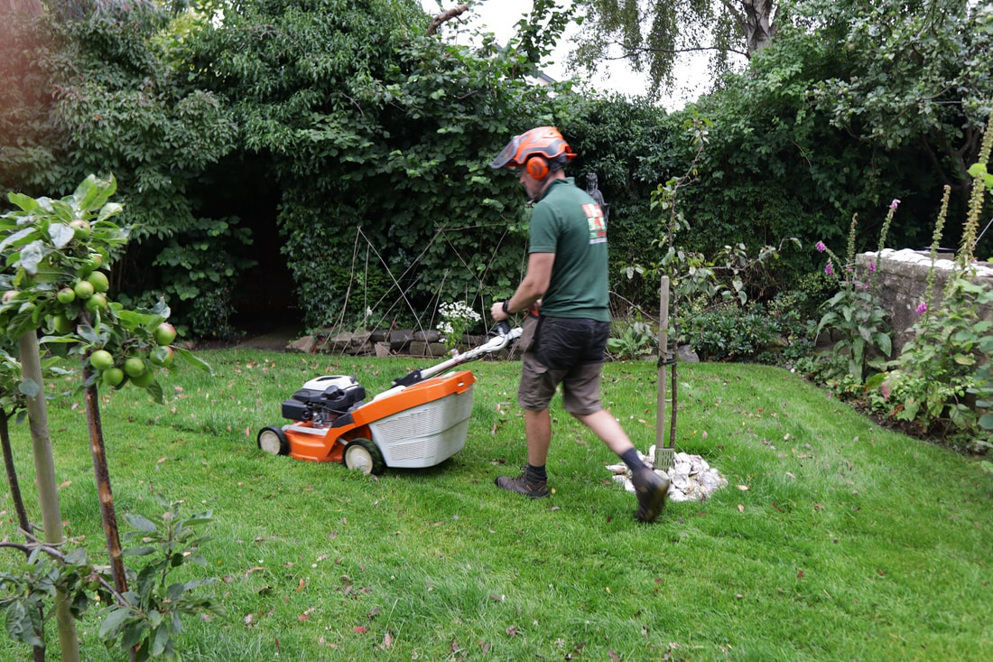 zales plausanas pakalpojumi